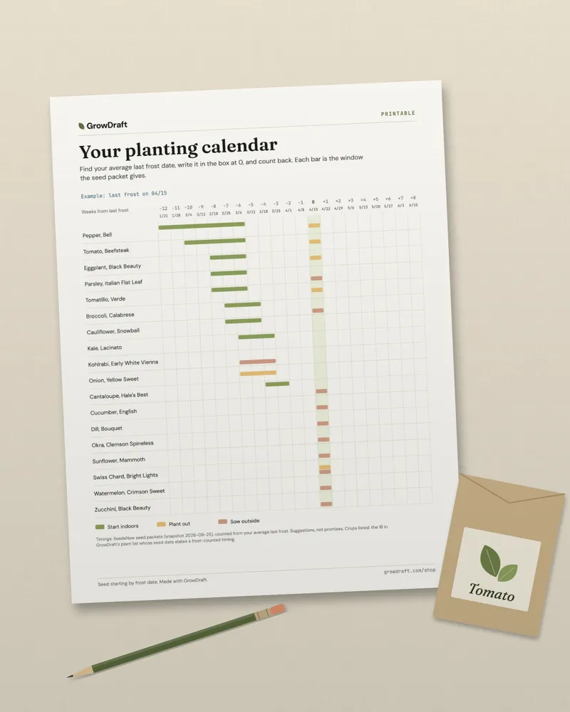 A printed planting calendar lying on a linen cloth beside a tomato seed packet and a pencil.