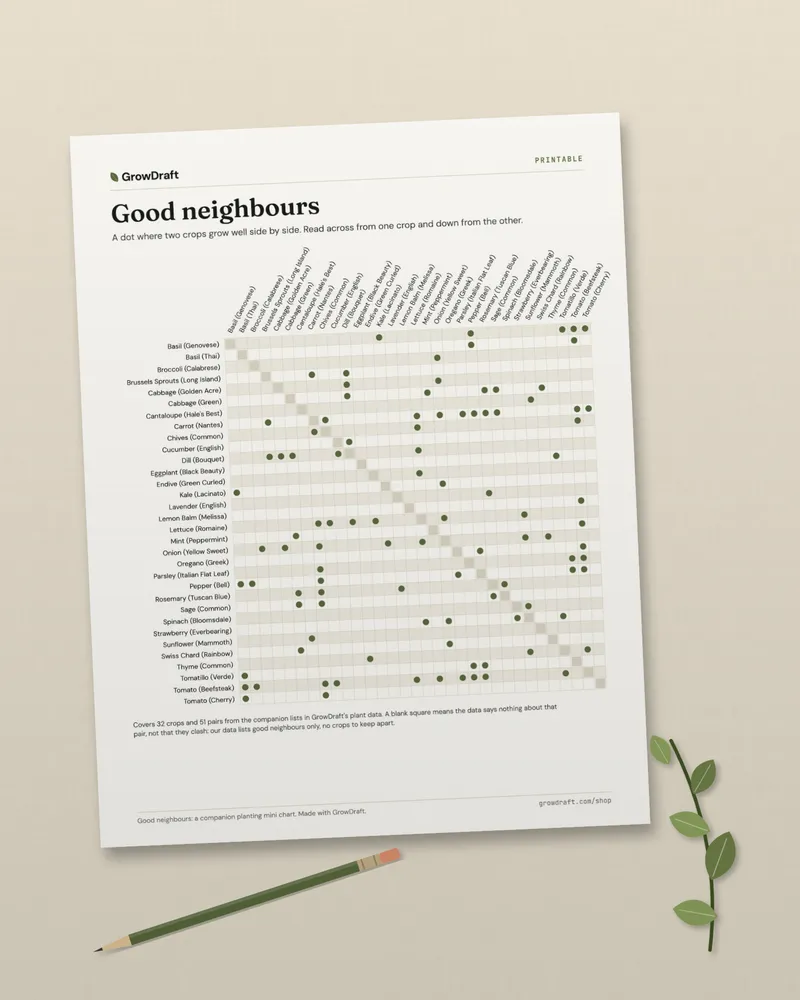The companion planting chart printed on a linen cloth beside a pencil and a sprig of leaves.