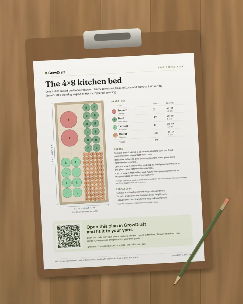 The free 4×8 kitchen bed plan printed and clipped to a clipboard on a wooden garden bench, with a pencil and a sprig of leaves.